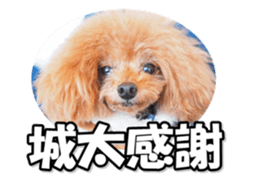 fukidashifan sticker #14707328