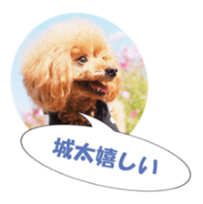 fukidashifan sticker #14707334