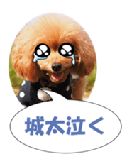 fukidashifan sticker #14707336