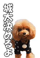 fukidashifan sticker #14707337