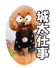 fukidashifan sticker #14707339