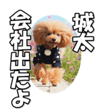 fukidashifan sticker #14707340