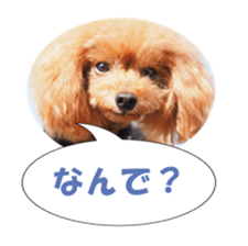 fukidashifan sticker #14707341