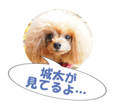 fukidashifan sticker #14707347