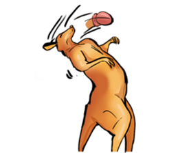 Kangaroo boxing! sticker #14708752