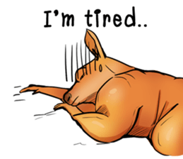 Kangaroo boxing! sticker #14708755