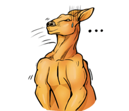 Kangaroo boxing! sticker #14708759