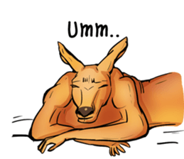 Kangaroo boxing! sticker #14708762