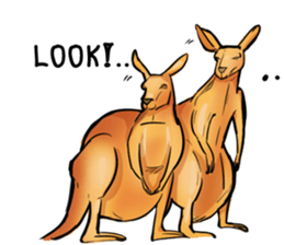 Kangaroo boxing! sticker #14708769