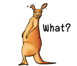 Kangaroo boxing! sticker #14708772