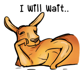 Kangaroo boxing! sticker #14708777