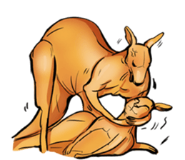 Kangaroo boxing! sticker #14708782
