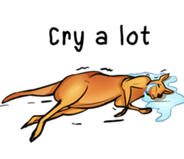 Kangaroo boxing! sticker #14708783