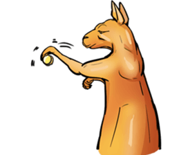 Kangaroo boxing! sticker #14708785