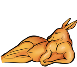 Kangaroo boxing! sticker #14708787