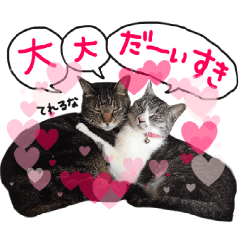 My cat Sticker for lovers.