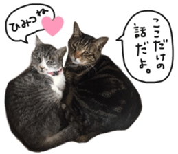 My cat Sticker for lovers. sticker #14709310