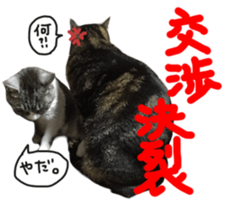 My cat Sticker for lovers. sticker #14709314