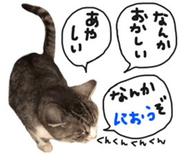 My cat Sticker for lovers. sticker #14709325