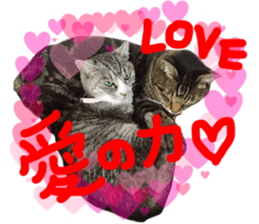 My cat Sticker for lovers. sticker #14709331