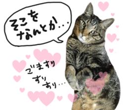 My cat Sticker for lovers. sticker #14709337