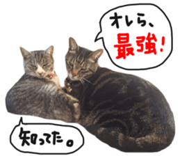 My cat Sticker for lovers. sticker #14709339