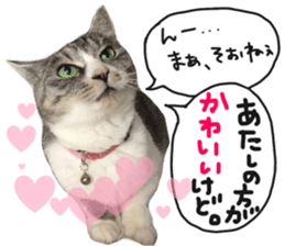 My cat Sticker for lovers. sticker #14709344