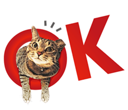 cat! cat!! cat!!! part2 sticker #14709654