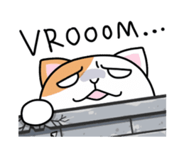 Dapple saffron cat sticker #14712127