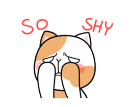 Dapple saffron cat sticker #14712132