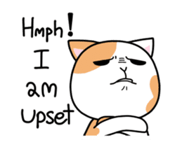 Dapple saffron cat sticker #14712135