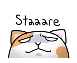 Dapple saffron cat sticker #14712136