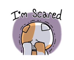 Dapple saffron cat sticker #14712148