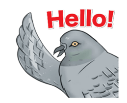 Hello Hato Play01 sticker #14713518