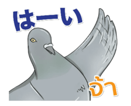 Hello Hato Play01 sticker #14713520