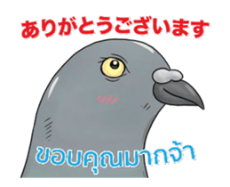 Hello Hato Play01 sticker #14713522