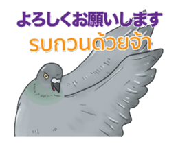 Hello Hato Play01 sticker #14713524