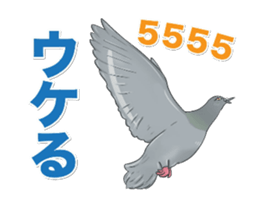 Hello Hato Play01 sticker #14713531