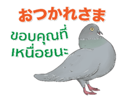 Hello Hato Play01 sticker #14713532