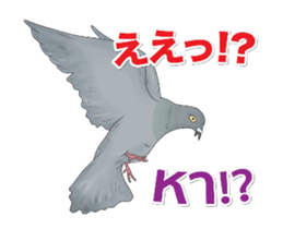 Hello Hato Play01 sticker #14713534