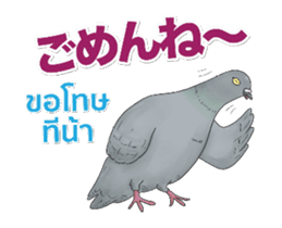 Hello Hato Play01 sticker #14713536