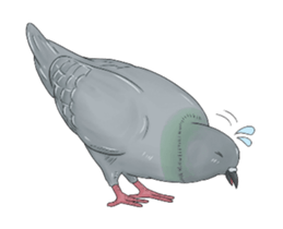 Hello Hato Play01 sticker #14713537