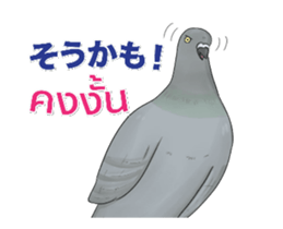 Hello Hato Play01 sticker #14713541