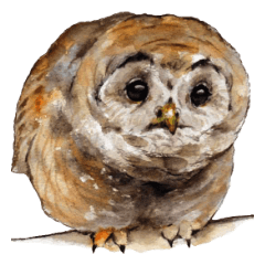 Stickers of watercolor owl painting