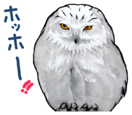 Stickers of watercolor owl painting sticker #14713543