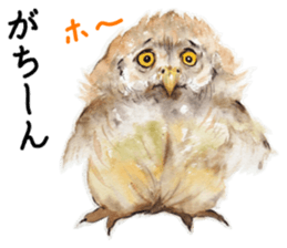 Stickers of watercolor owl painting sticker #14713545