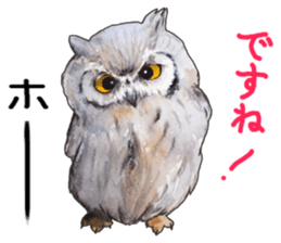 Stickers of watercolor owl painting sticker #14713546
