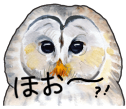 Stickers of watercolor owl painting sticker #14713547