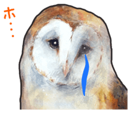 Stickers of watercolor owl painting sticker #14713548