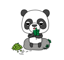 Three bear story 'JaPan' collection sticker #14714643